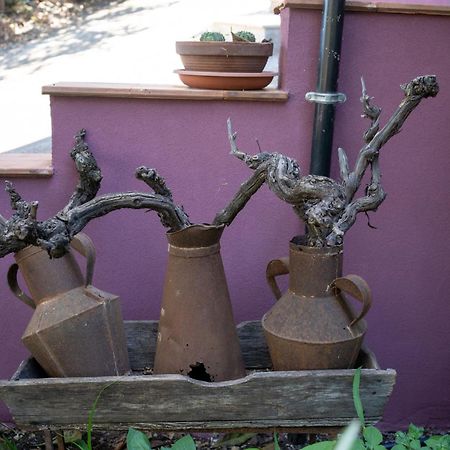 Agriturismo Etna-Mare Piedimonte Etneo Esterno foto