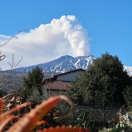 Agriturismo Etna-Mare Piedimonte Etneo Esterno foto