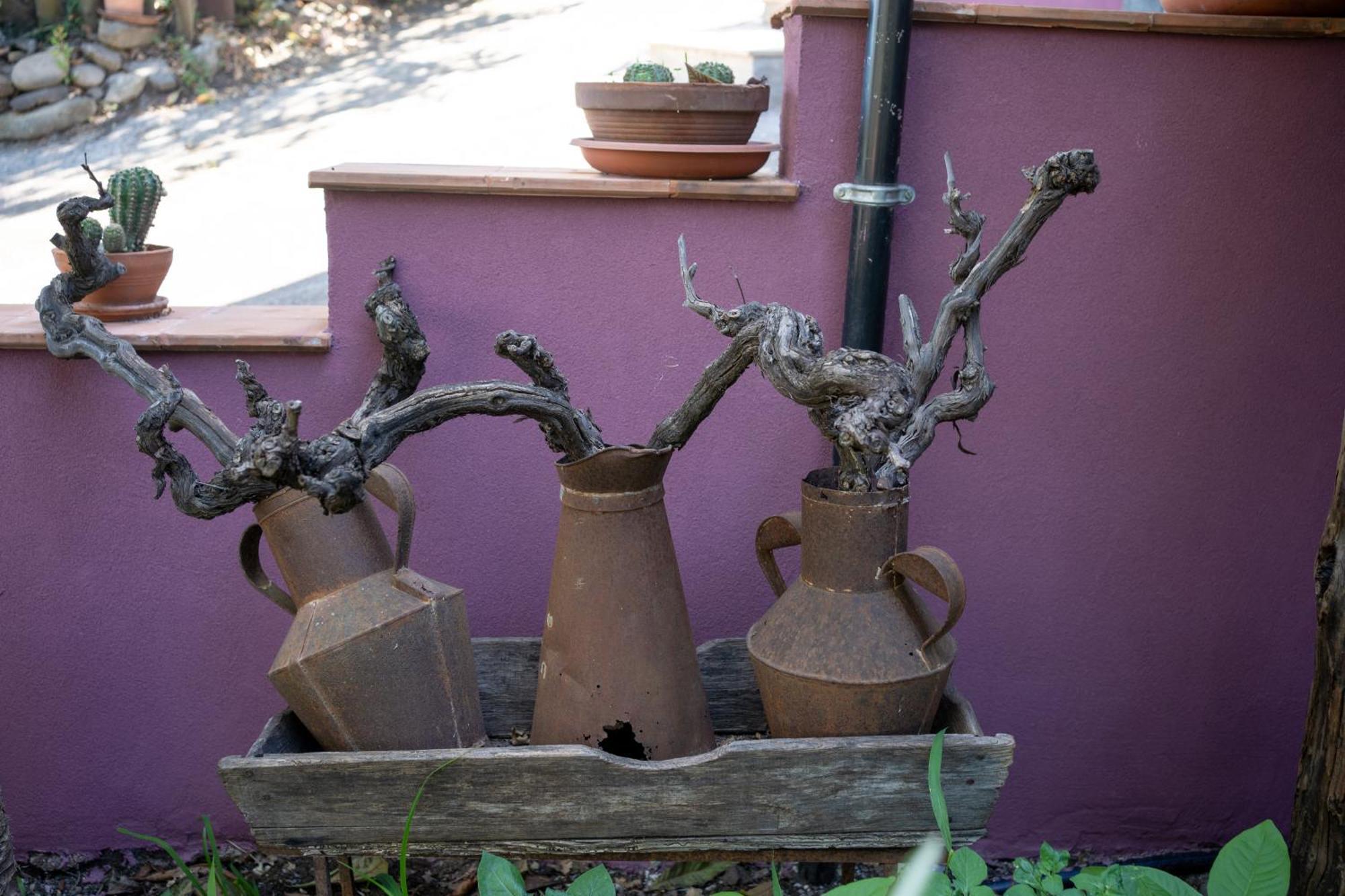 Agriturismo Etna-Mare Piedimonte Etneo Esterno foto