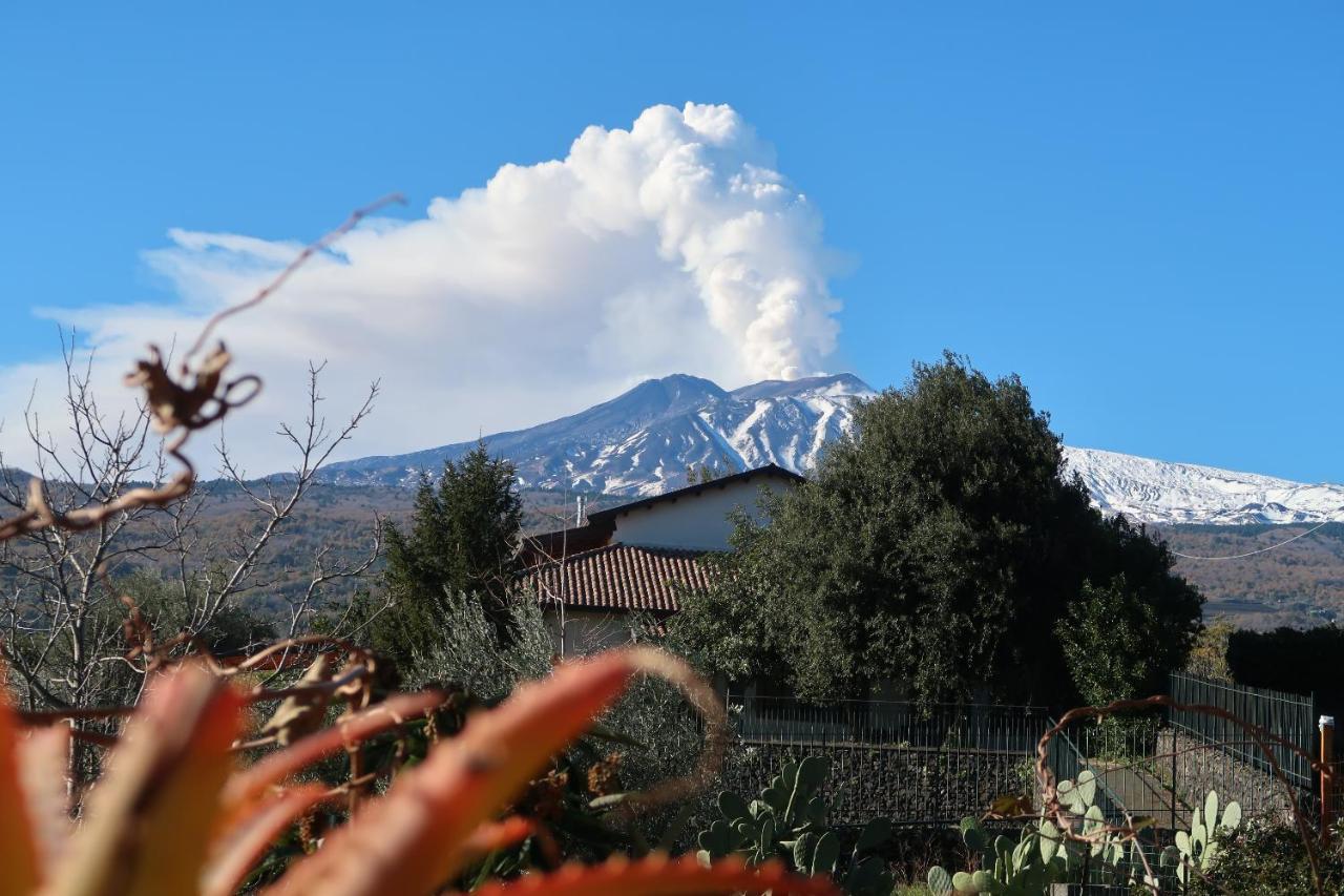 Agriturismo Etna-Mare Piedimonte Etneo Esterno foto